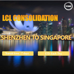 Penyedia pelayaran internasional LCL yang tepercaya yang menawarkan layanan clearance bea cukai dan transportasi laut untuk mitra bisnis global